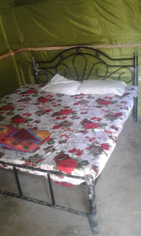 Shanti Guest House Arambol Eksteriør bilde